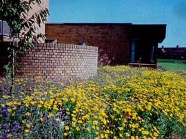 Kirby School Garden